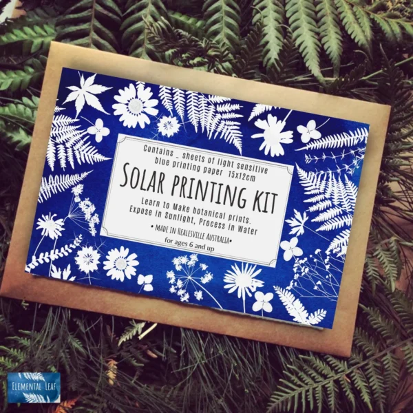 DIY solar printing kit , craft kit