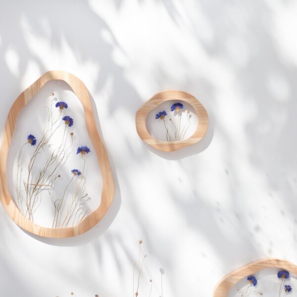 Real Cornflowers - Set of two pressed flower frames